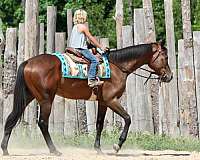 ranch-versatility-thoroughbred-horse