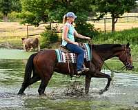 working-thoroughbred-horse