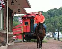 kid-safe-quarter-horse