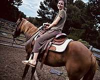 sorrel-miniature-pony-for-sale