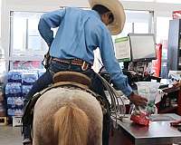 ranch-pony