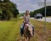performance-quarter-horse