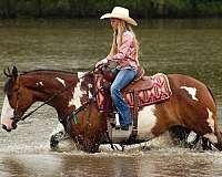youth-shire-horse