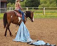 kid-safe-shire-horse