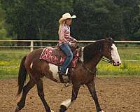 lesson-shire-horse
