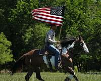 ranch-work-shire-horse