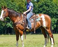 kid-safe-paint-horse