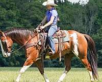 ranch-versatility-paint-horse
