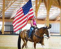 western-riding-paint-horse