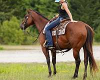 athletic-quarter-pony