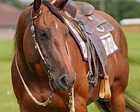 kid-safe-quarter-pony