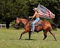 ranch-work-quarter-pony