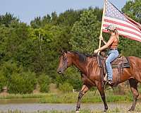 trail-riding-quarter-pony