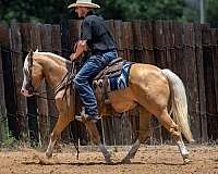 athletic-quarter-pony