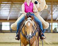 roping-quarter-horse