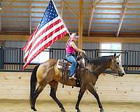 beginner-quarter-horse