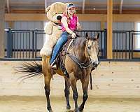 western-riding-quarter-horse