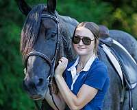 draft-percheron-horse