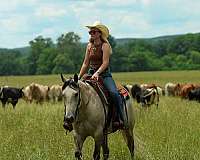 ranch-quarter-horse