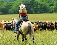 roping-quarter-horse
