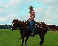 ranch-work-quarter-horse