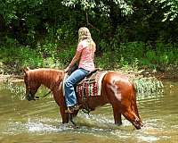 ranch-versatility-quarter-horse