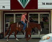 roping-quarter-horse
