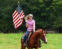 trail-riding-quarter-horse