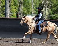 calf-roping-quarter-horse