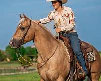 western-riding-quarter-horse