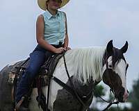 roping-quarter-horse