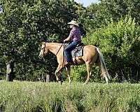 roping-quarter-horse