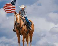 ranch-work-quarter-horse