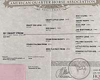 western-riding-quarter-horse