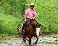 athletic-quarter-horse