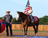 ranch-versatility-quarter-horse