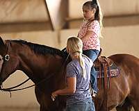roping-quarter-horse