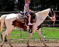 husband-safe-horse-paint