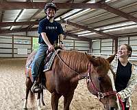 quarter-horse
