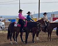 horsemanship-quarter-horse