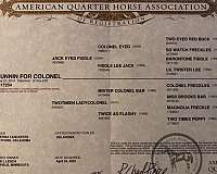foundation-ranch-broodmare