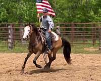 flashy-paint-horse