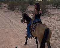 ridden-western-paint-horse