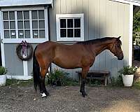 appendix-mare
