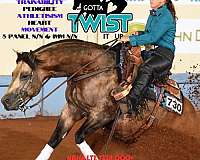 show-winn-filly