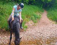 boy-arabian-horse