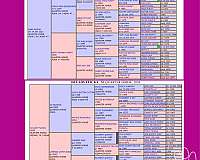 quarter-horse-filly