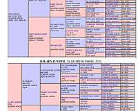 quarter-horse