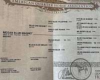 beginner-quarter-horse