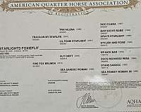 blessings-quarter-horse